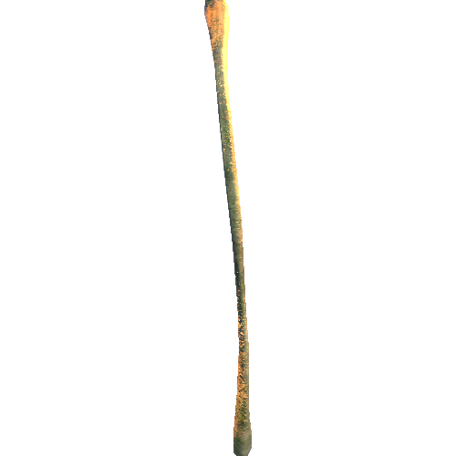 Fibula_lod0 Variant